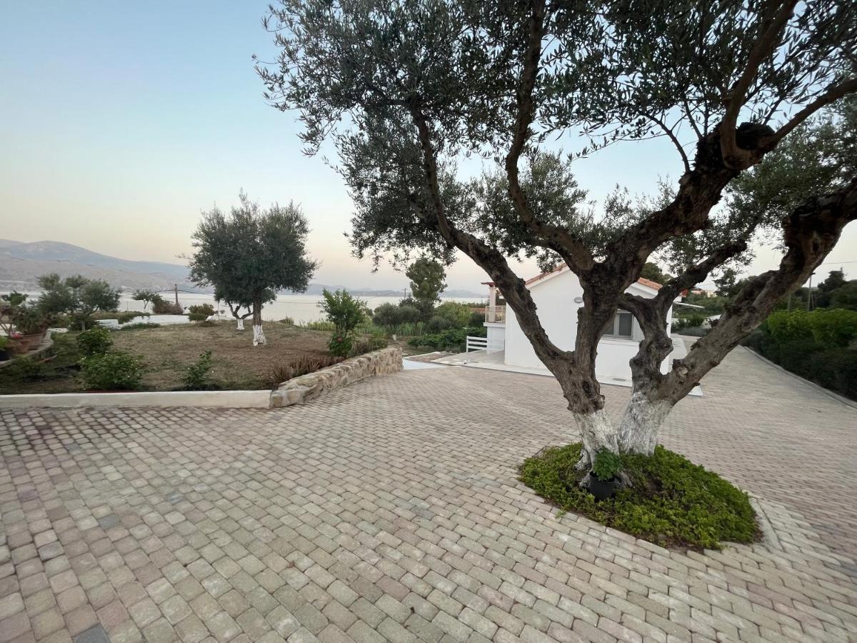 Apollonides Seafront Villa1 Aoede Lixouri Exterior photo